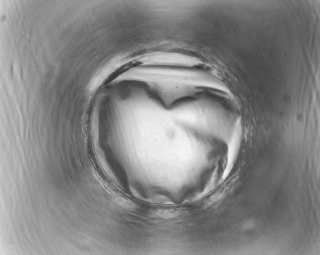 X0000054470341200508270135