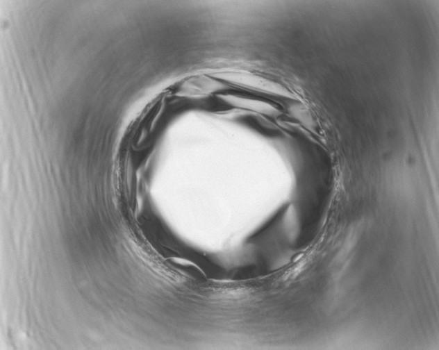 X0000054470342200508270135