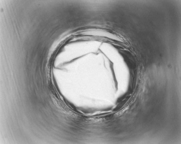 X0000054470343200508270135