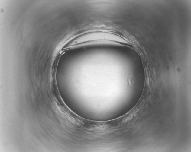 X0000054470344200508270135