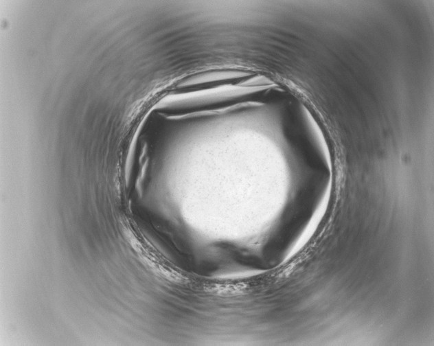 X0000054470345200508270135