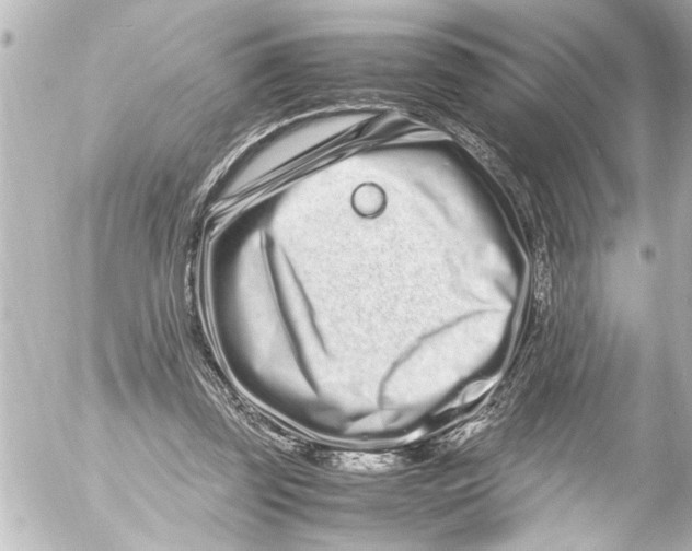 X0000054470347200508270135