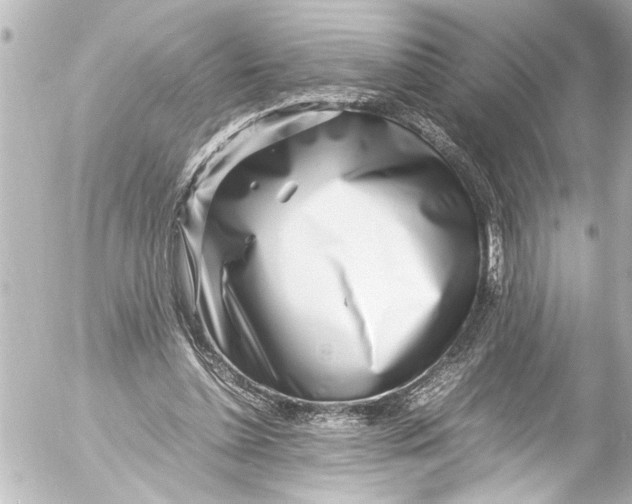 X0000054470348200508270135