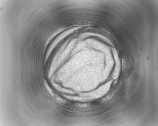 X0000054470349200508270135