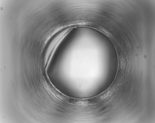 X0000054470350200508270135