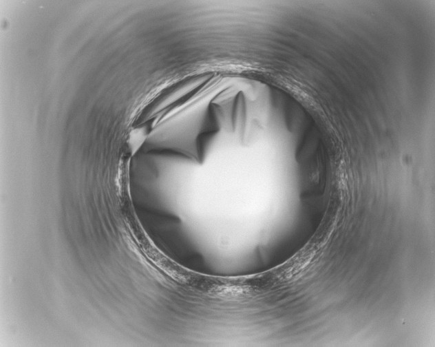 X0000054470352200508270135