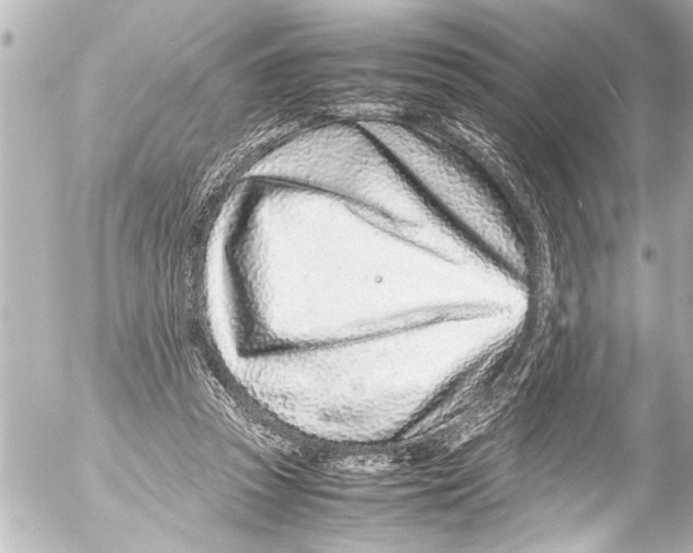 X0000054470353200508270135