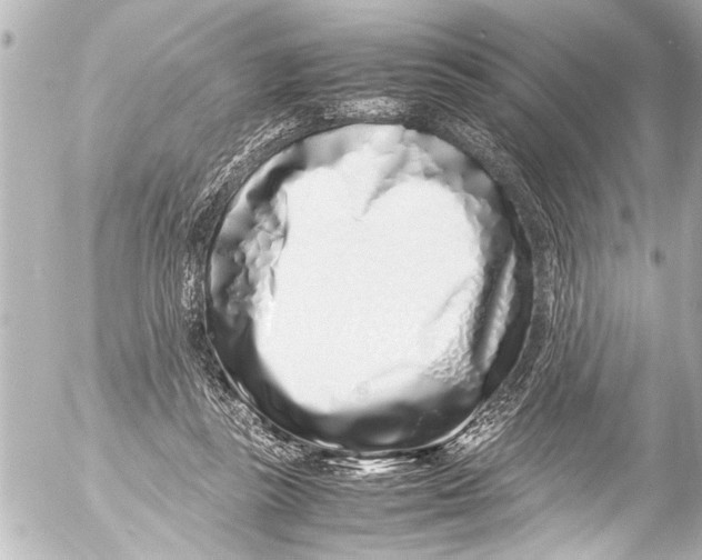 X0000054470355200508270135