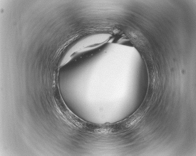 X0000054470356200508270135