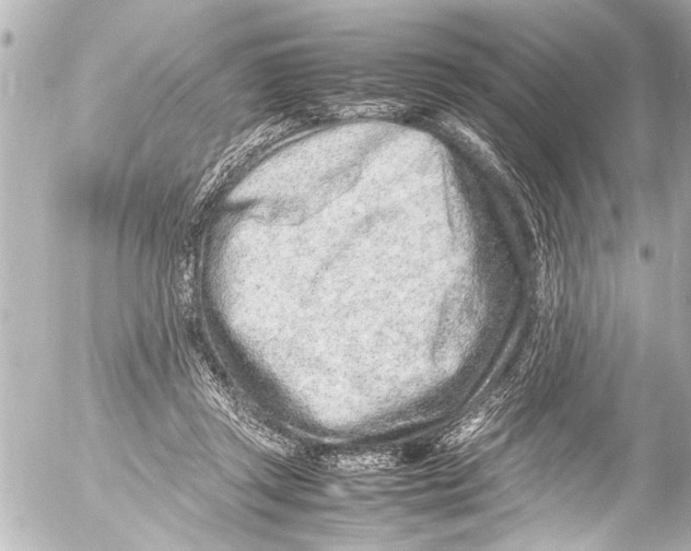 X0000054470357200508270135