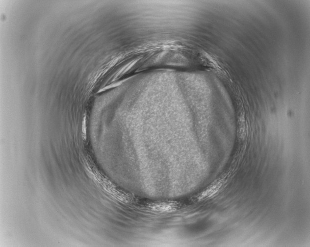 X0000054470358200508270135