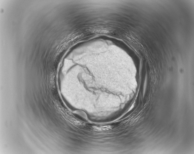 X0000054470359200508270135