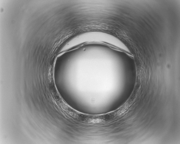 X0000054470360200508270135