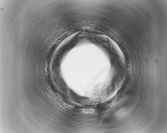 X0000054470363200508270135