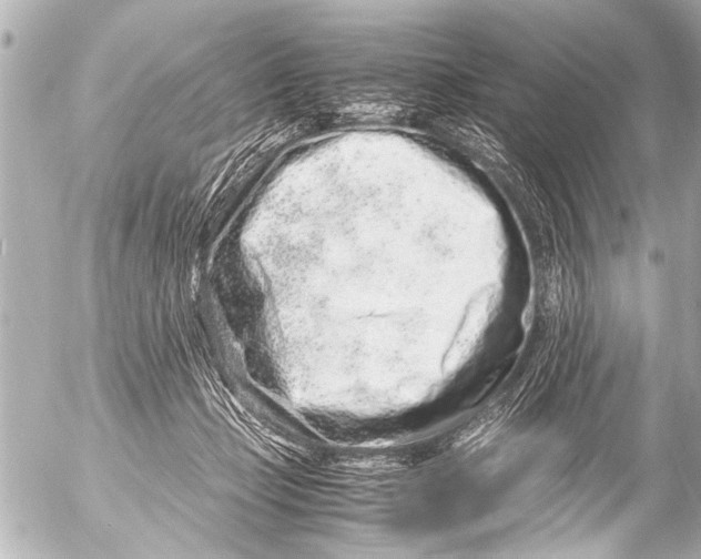 X0000054470365200508270135