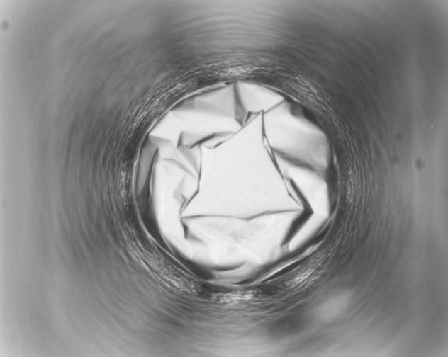 X0000054470366200508270135