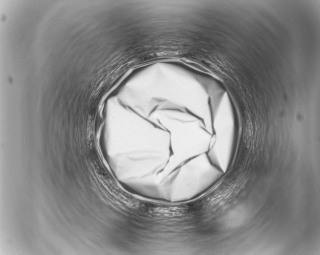 X0000054470367200508270135