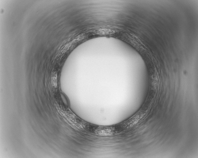 X0000054470368200508270135