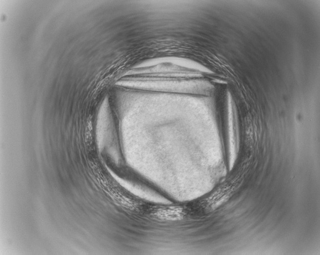 X0000054470369200508270135