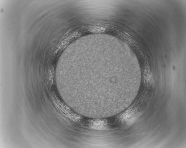 X0000054470370200508270135