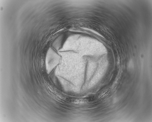 X0000054470371200508270135