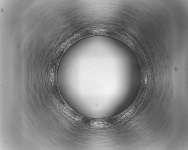 X0000054470372200508270135