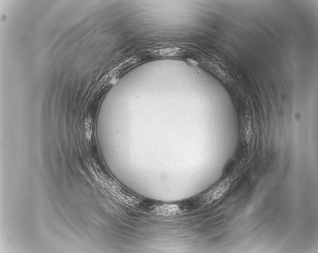 X0000054470374200508270135