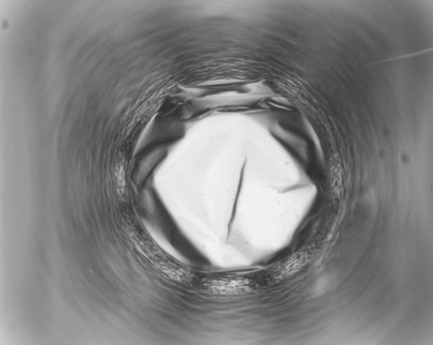 X0000054470375200508270135