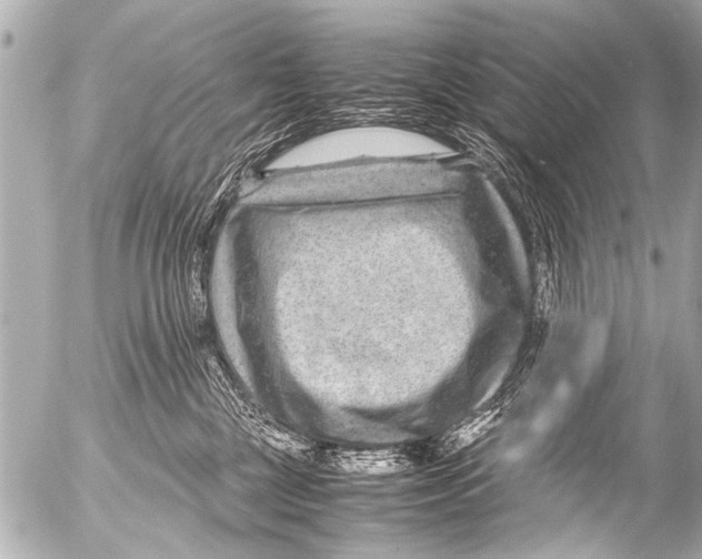 X0000054470377200508270135