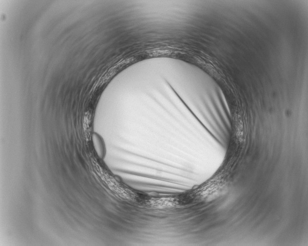 X0000054470378200508270135