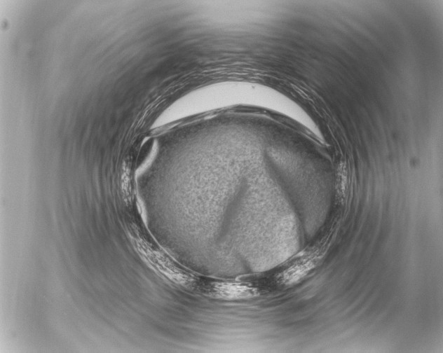 X0000054470380200508270135