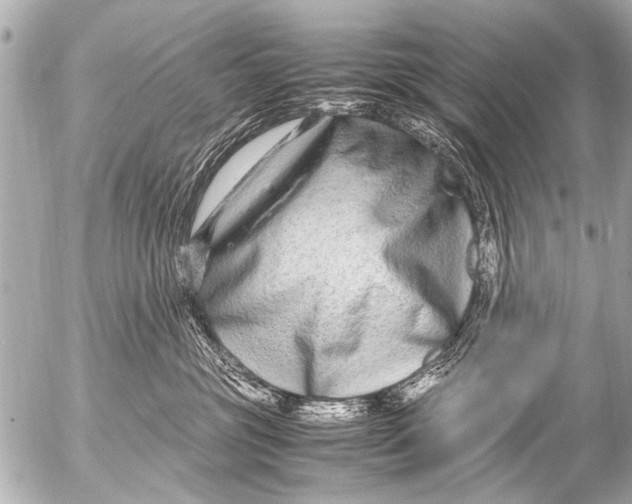 X0000054470381200508270135