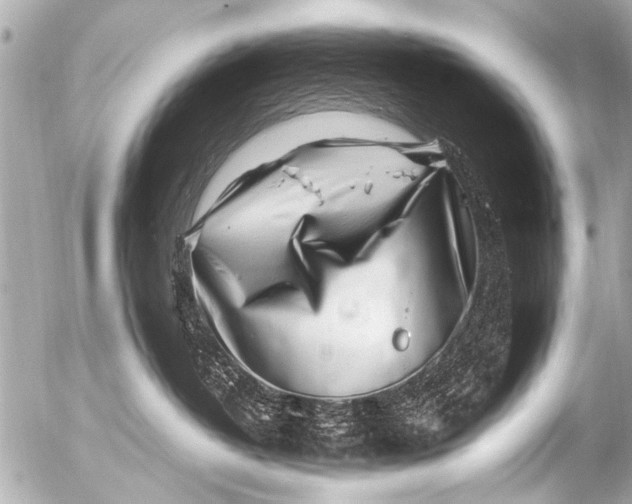 X0000054470382200508270135