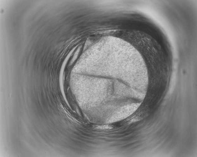 X0000054470383200508270135