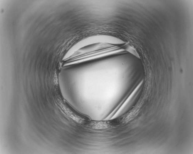 X0000054470384200508270135