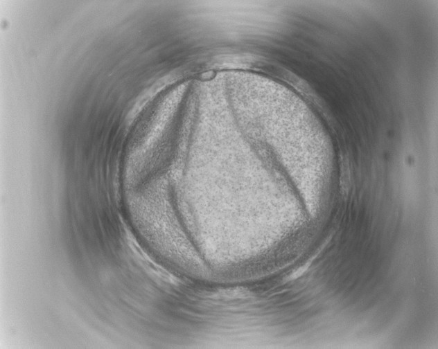 X0000054470386200508270135