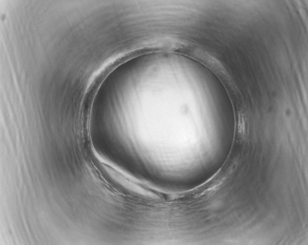 X0000054470388200508270135