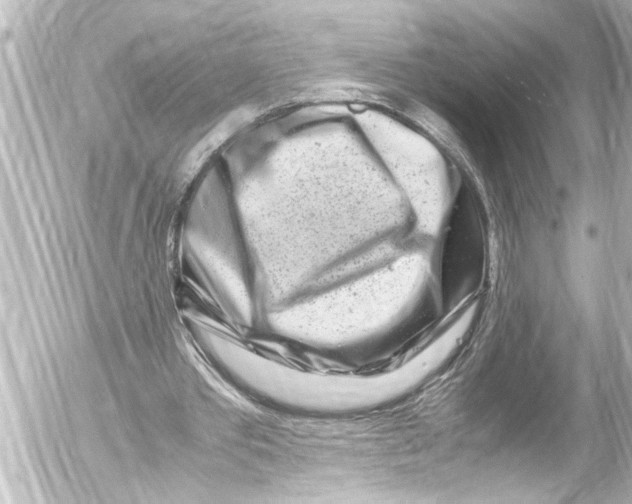 X0000054470389200508270135