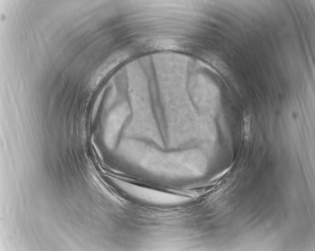 X0000054470390200508270135