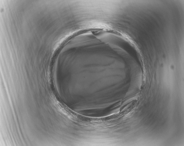 X0000054470391200508270135