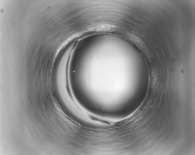 X0000054470392200508270135