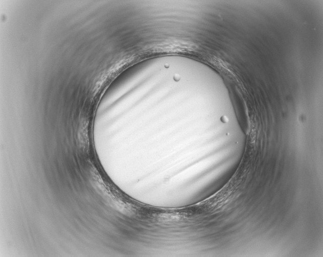 X0000054470394200508270135