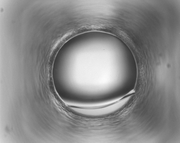 X0000054470395200508270135