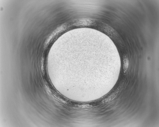 X0000054470396200508270134