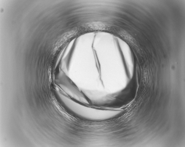 X0000054470398200508270134