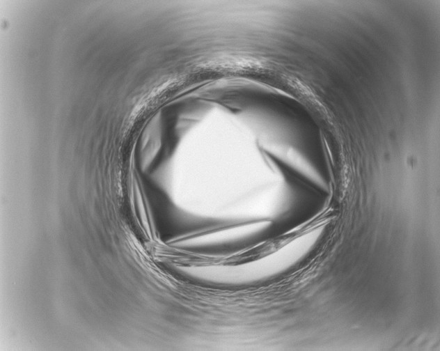 X0000054470399200508270134