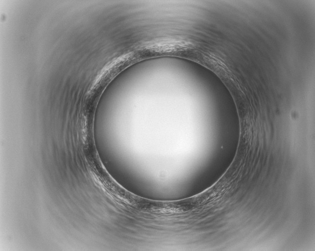 X0000054470400200508270134