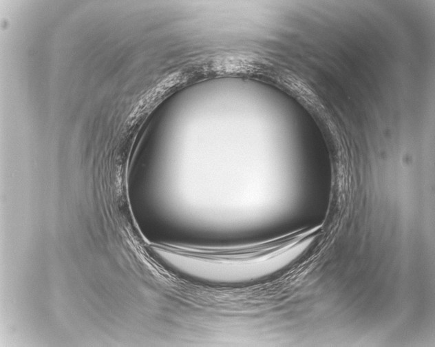 X0000054470401200508270134