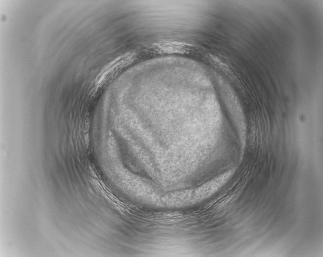 X0000054470402200508270134