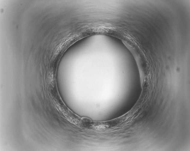 X0000054470407200508270134